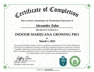 Master_of_Cannabis_Expert_Certificates_7