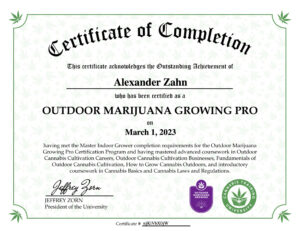 Master_of_Cannabis_Expert_Certificates_8